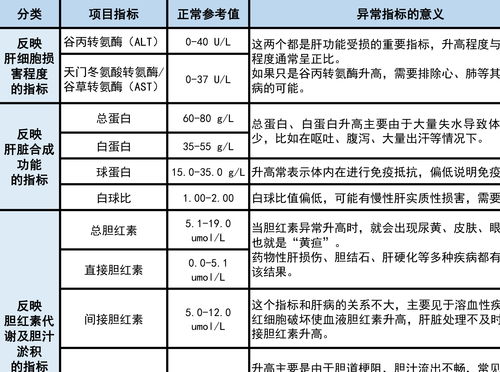 全面解析：燕窝PN的含义、作用及常见疑问解答