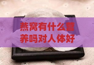 燕窝有什么营养吗对人体好吗：燕窝的营养价值和好处探究