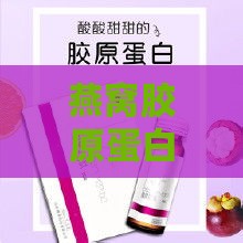 燕窝胶原蛋白肽饮用更佳时机：全面解析吸收效率与美容效果