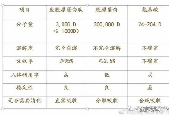 饭前饮用燕窝胶原蛋白肽，效果更佳还是饭后饮用？