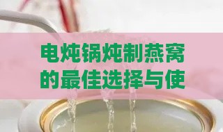 电炖锅炖制燕窝的更佳选择与使用技巧