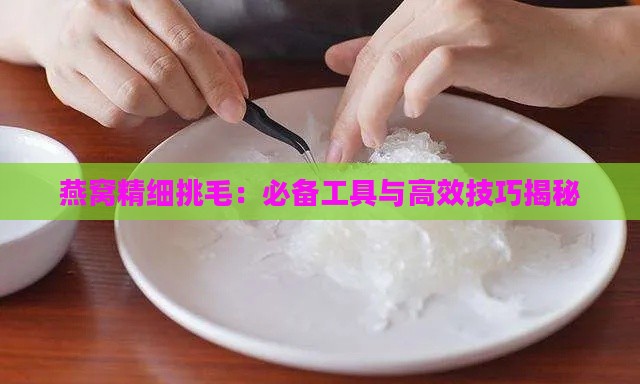 燕窝精细挑毛：必备工具与高效技巧揭秘