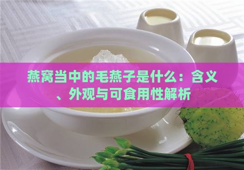 燕窝当中的毛燕子是什么：含义、外观与可食用性解析