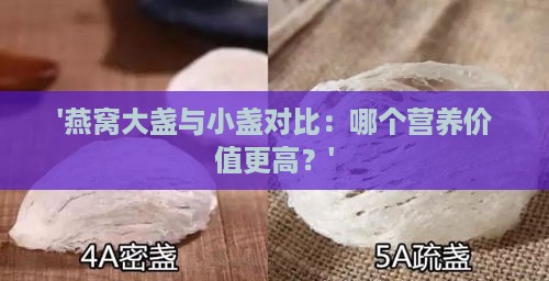 '燕窝大盏与小盏对比：哪个营养价值更高？'