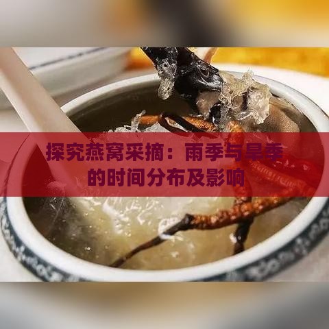 探究燕窝采摘：雨季与旱季的时间分布及影响