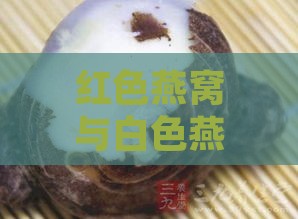 红色燕窝与白色燕窝对比：哪一种营养价值更高？