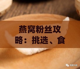 燕窝粉丝攻略：挑选、食用、功效与常见问题全解析