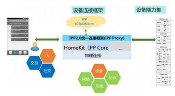 揭秘天然燕窝的来源：探索其形成过程与关键物质成分