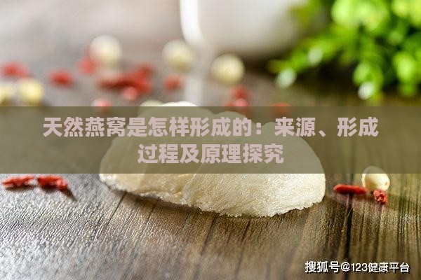 天然燕窝是怎样形成的：来源、形成过程及原理探究