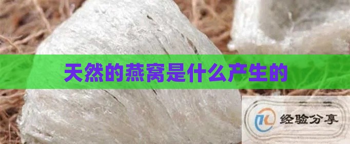 天然的燕窝是什么产生的