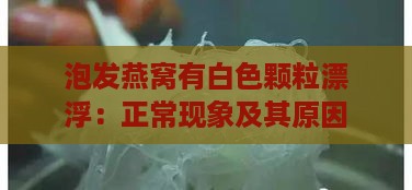 泡发燕窝有白色颗粒漂浮：正常现象及其原因探究