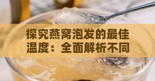 探究燕窝泡发的更佳温度：全面解析不同季节与燕窝类型的更优泡发方法