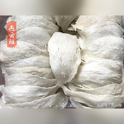 孕妇如何科学安排燕窝食用时间：孕期全程指南与注意事项