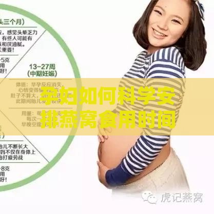 孕妇如何科学安排燕窝食用时间：孕期全程指南与注意事项