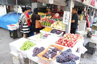 沈阳燕窝批发在什么地方进货：探寻更便宜、品质好的进货市场