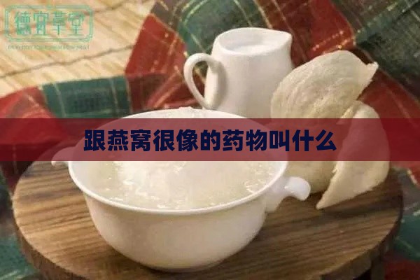 跟燕窝很像的药物叫什么