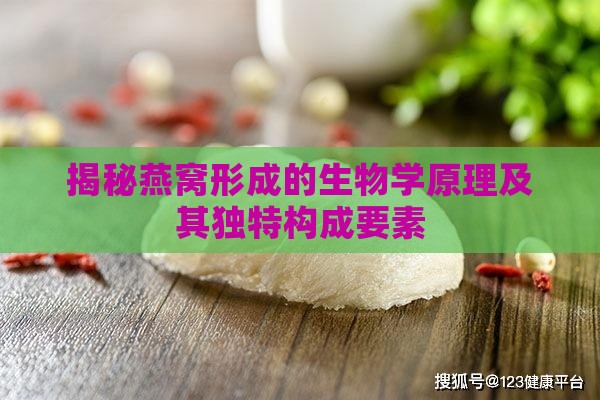 揭秘燕窝形成的生物学原理及其独特构成要素