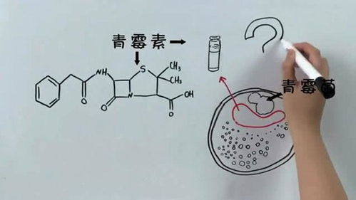 燕窝是靠什么形成的原理