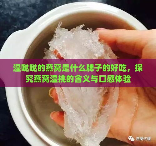 湿哒哒的燕窝是什么牌子的好吃，探究燕窝湿挑的含义与口感体验