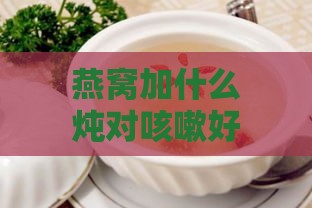 燕窝加什么炖对咳嗽好呢：搭配炖煮润肺止咳食谱推荐