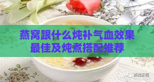 燕窝跟什么炖补气血效果更佳及炖煮搭配推荐