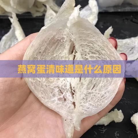 燕窝蛋清味道是什么原因