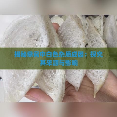 揭秘燕窝中白色杂质成因：探究其来源与影响