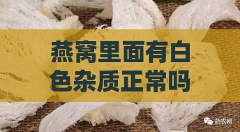 燕窝里面有白色杂质正常吗？这些白色块块是什么，还能食用吗？