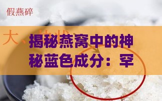 揭秘燕窝中的神秘蓝色成分：罕见菌类真相探究