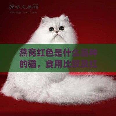 燕窝红色是什么品种的猫，食用比较及红白燕窝优劣分析