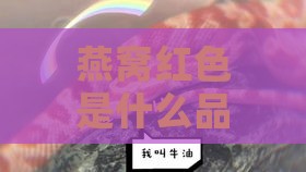 燕窝红色是什么品种的猫，食用比较及红白燕窝优劣分析