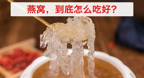 深度解析：辛巴糖水燕窝背后的舆情发酵与行业影响