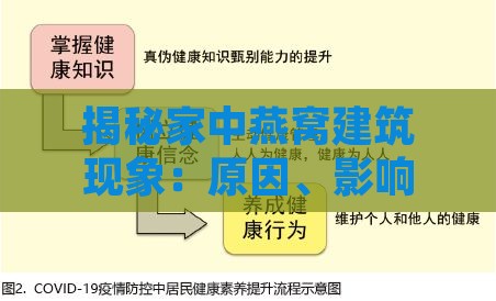 揭秘家中燕窝建筑现象：原因、影响与应对策略全解析