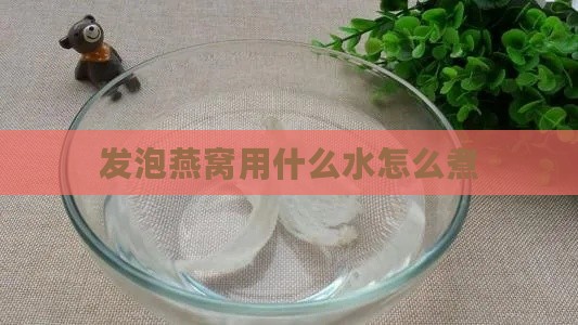 发泡燕窝用什么水怎么煮