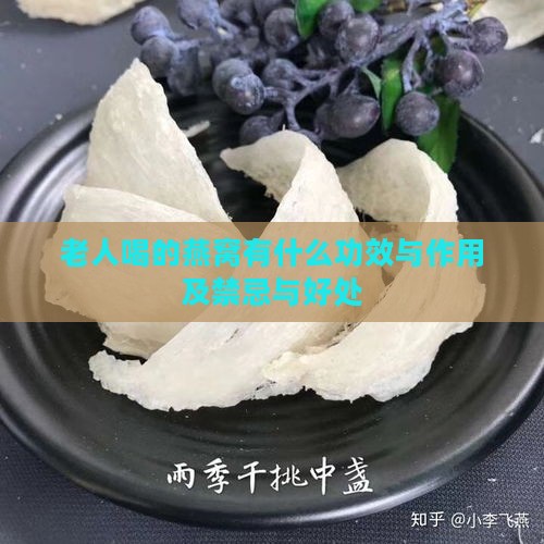 老人喝的燕窝有什么功效与作用及禁忌与好处