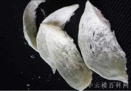 燕窝中的黑色颗粒是什么