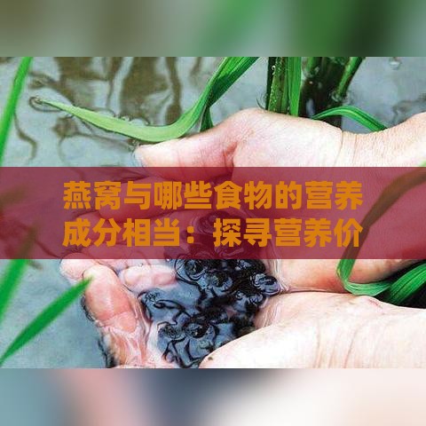 燕窝与哪些食物的营养成分相当：探寻营养价值相近的食材