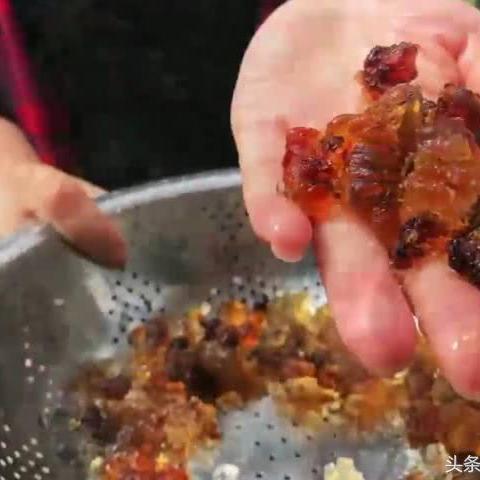 燕窝的全方位功效与潜在副作用解析：如何正确食用与规避风险