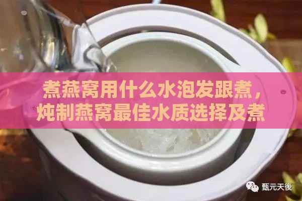 煮燕窝用什么水泡发跟煮，炖制燕窝更佳水质选择及煮制方法