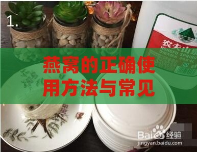 燕窝的正确使用方法与常见误区：全面解析燕窝食用禁忌与养生技巧