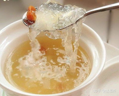 燕窝搭配哪些食材更佳：全面提升营养吸收与口感体验