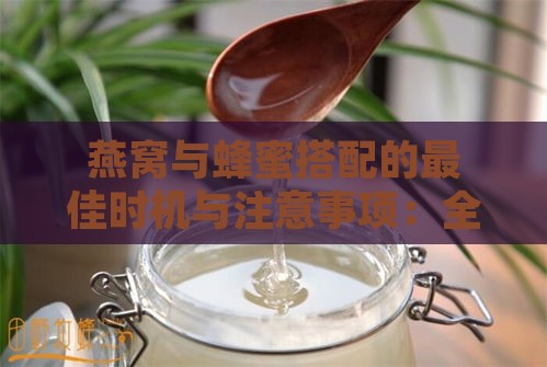 燕窝与蜂蜜搭配的更佳时机与注意事项：全面解析燕窝加蜂蜜的正确方法