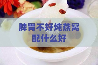 脾胃不好炖燕窝配什么好