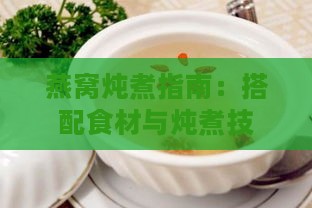 燕窝炖煮指南：搭配食材与炖煮技巧，打造更佳口感与营养组合