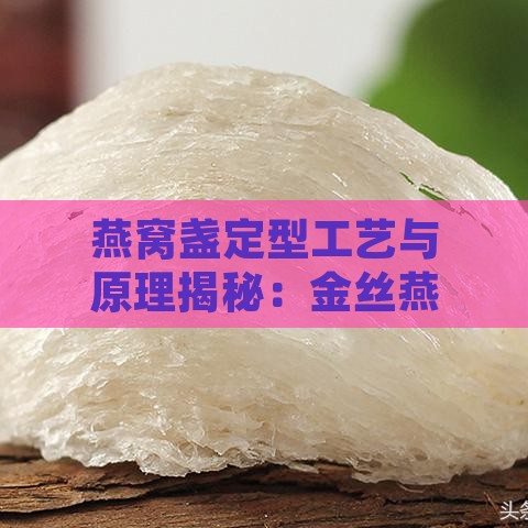 燕窝盏定型工艺与原理揭秘：金丝燕筑巢形态如何影响燕盏造型