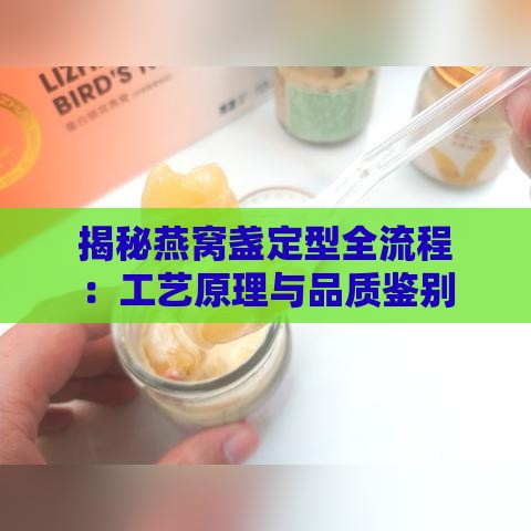 揭秘燕窝盏定型全流程：工艺原理与品质鉴别要点