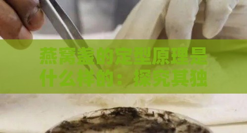 燕窝盏的定型原理是什么样的：探究其独特成型过程与技巧