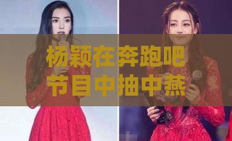 杨颖在奔跑吧节目中抽中燕窝惊喜福利，揭秘现场精彩瞬间