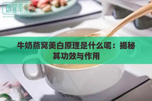 牛奶燕窝美白原理是什么呢：揭秘其功效与作用