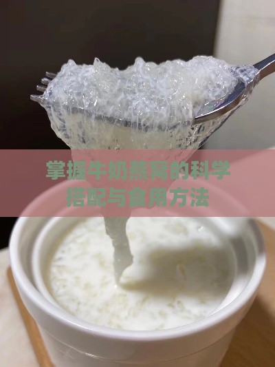 掌握牛奶燕窝的科学搭配与食用方法